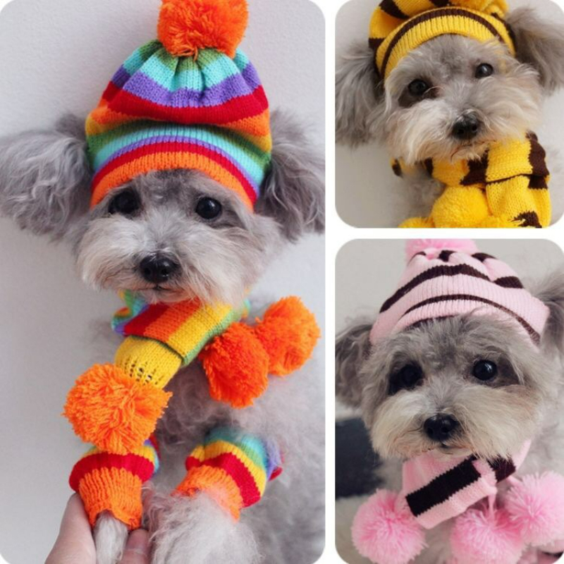 Rainbow Stripe Knitted Dog Win - Winter Clothing Leg Warmers recensione e prezzo