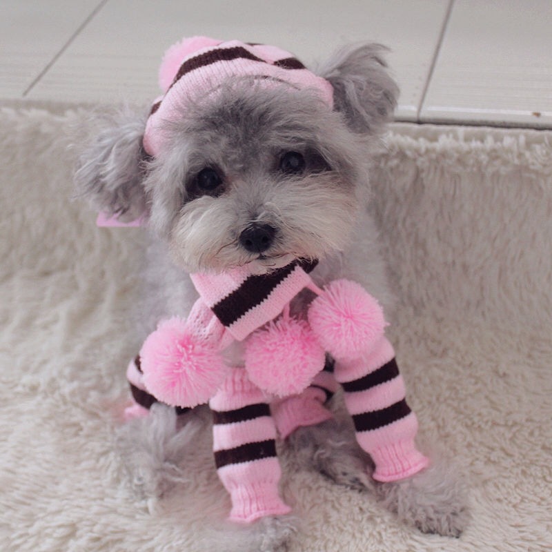 Rainbow Stripe Knitted Dog Win - Winter Clothing Leg Warmers recensione e prezzo