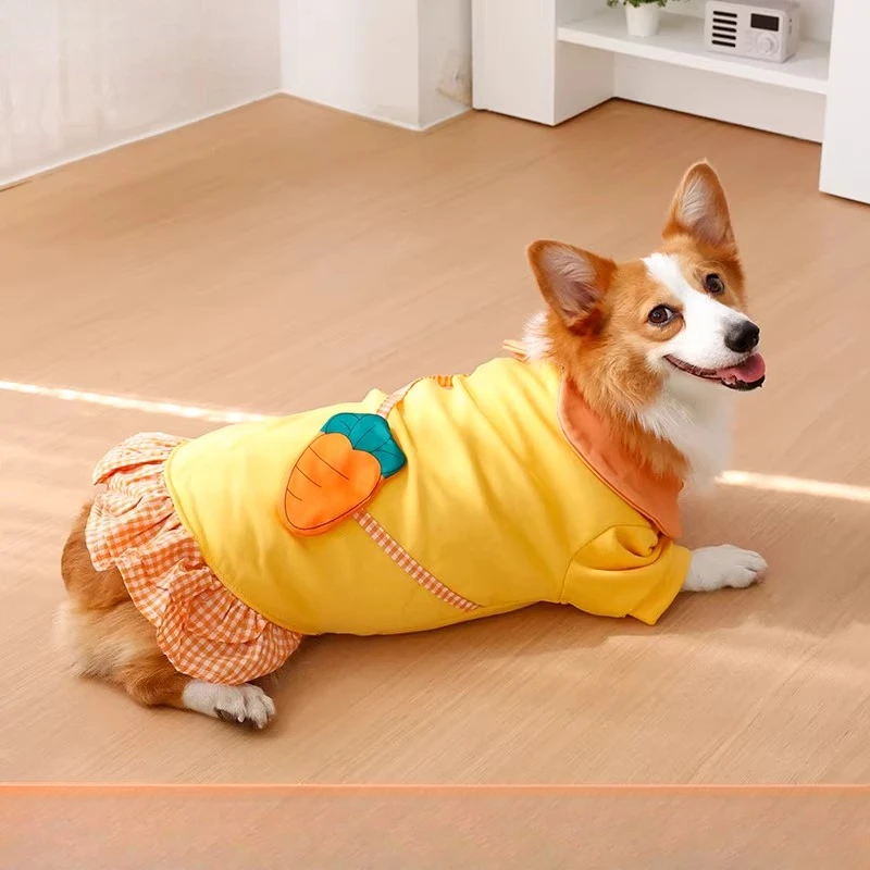Dog clothing - Winter warmers  - Winter Clothing Leg Warmers recensione e prezzo
