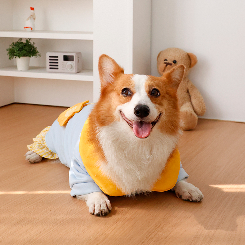 Dog clothing - Winter warmers  - Winter Clothing Leg Warmers recensione e prezzo