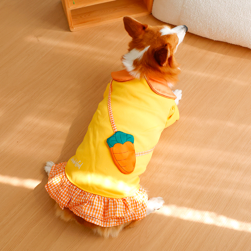 Dog clothing - Winter warmers  - Winter Clothing Leg Warmers recensione e prezzo