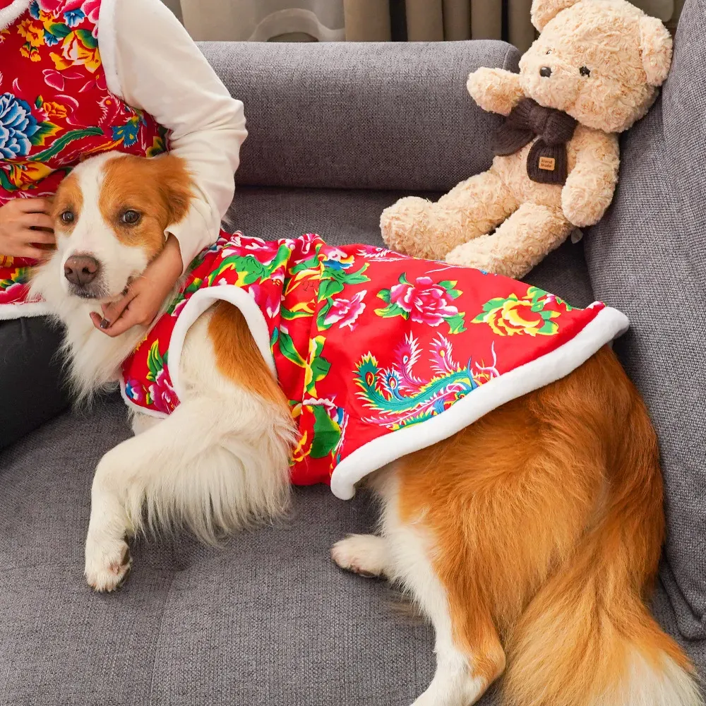 2025  winter dog clothing dog  - Winter Clothing Name recensione e prezzo