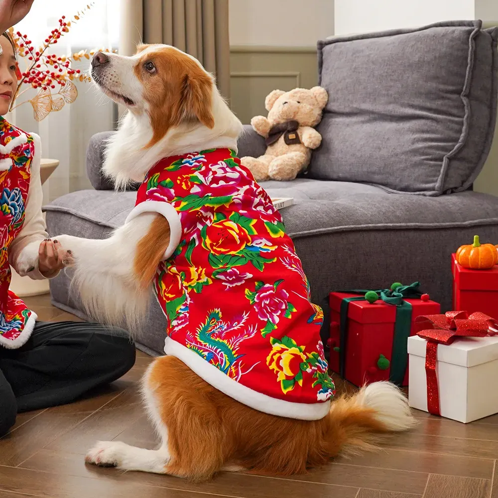 2025  winter dog clothing dog  - Winter Clothing Name recensione e prezzo