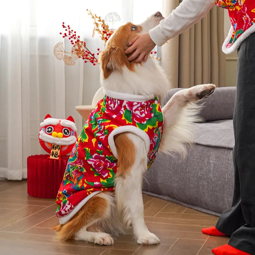 2025  winter dog clothing dog  - Winter Clothing Name recensione e prezzo