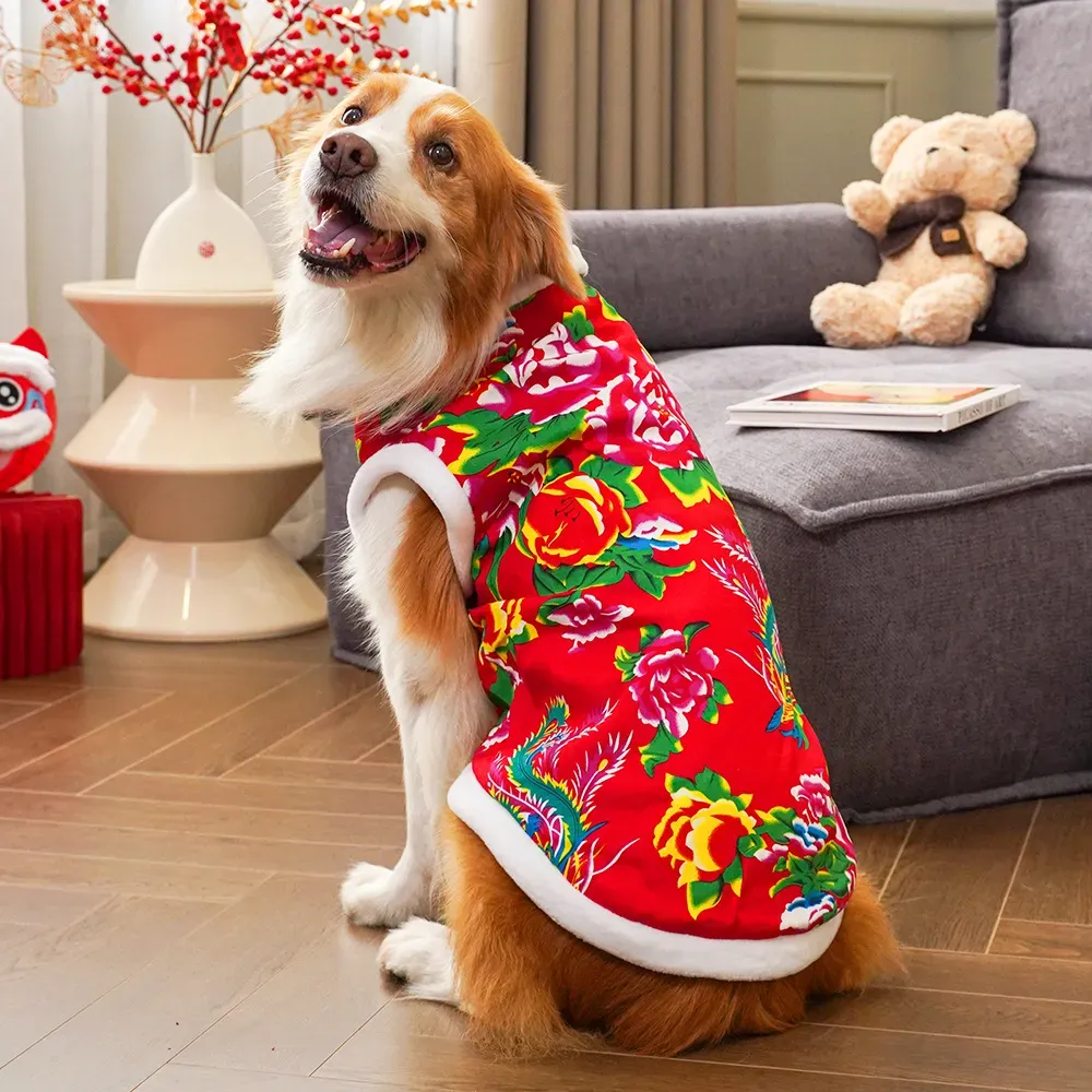 2025  winter dog clothing dog  - Winter Clothing Name recensione e prezzo