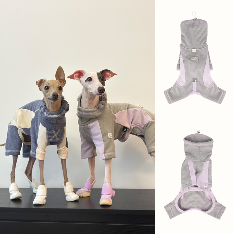 Dog Clothes for Autumn and Win - Winter Clothing Leg Warmers recensione e prezzo