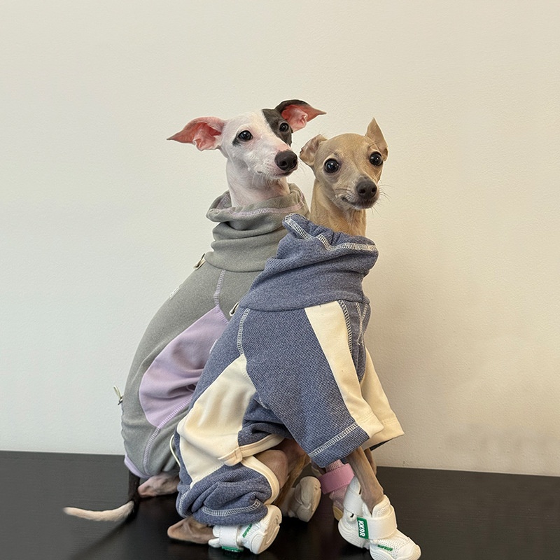 Dog Clothes for Autumn and Win - Winter Clothing Leg Warmers recensione e prezzo