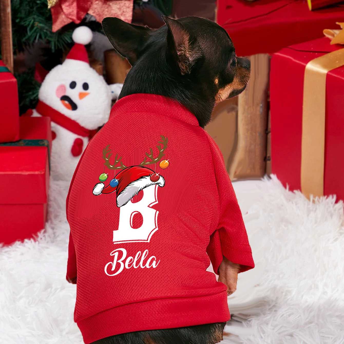 Personalised Christmas Pet Dog - Winter Clothing Name recensione e prezzo