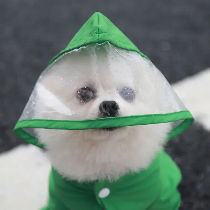 2025 Free shipping Pet jumpsui - Winter Clothing Name recensione e prezzo