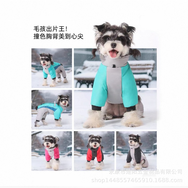 Autumn and Winter Velvet Dog W - Winter Clothing Leg Warmers recensione e prezzo