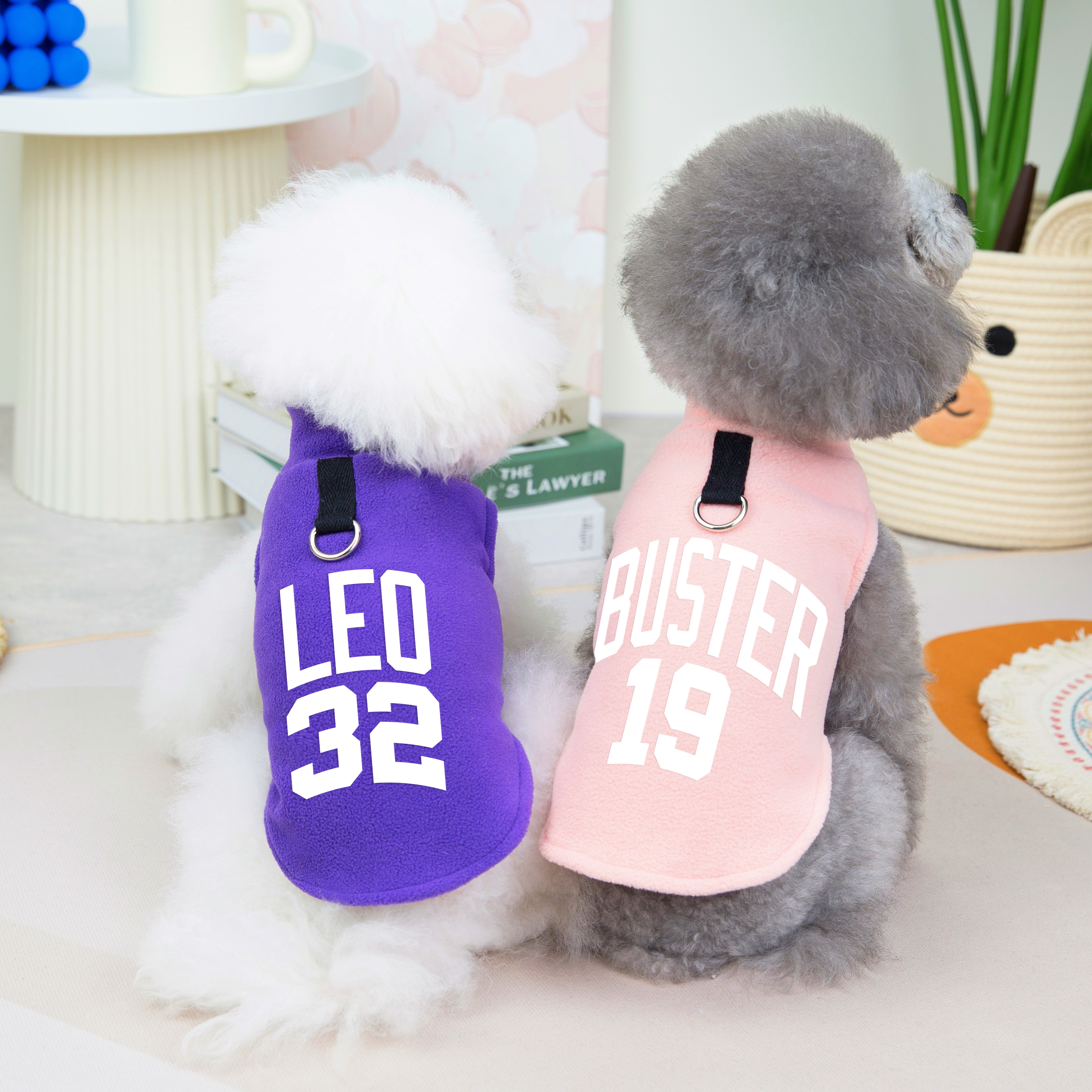 Personalized Dog Clothes Free  - Winter Clothing Name recensione e prezzo